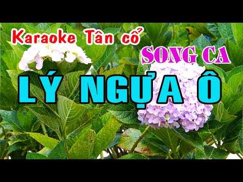 Karaoke tân cổ LÝ NGỰA Ô  – SONG CA [Tân cổ trước 75]