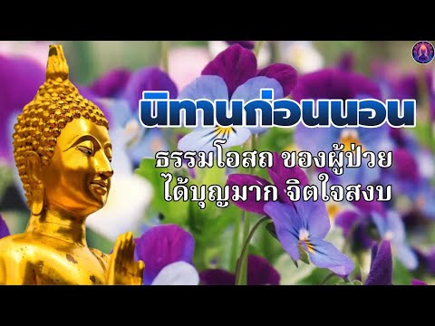 นิทานก่อนนอนธรรมะ💤ฝึกจิต ชีวิตพบสุข  ได้บุญมาก หลับสนิท🥱🍁พระพุทธศาสนาอยู่ในใจ