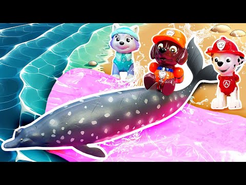 Il fait chaud ! 🐳Marcus crée un super toboggan et la Pat'Patrouille jouets sauve une baleine bloquée