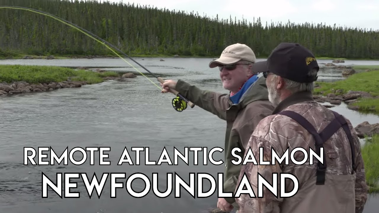 Topwater Salmon Fishing - Arluk Outfitters Newfoundland - The New Fly Fisher