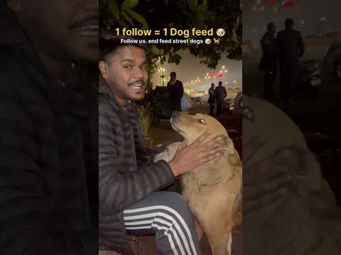 Once Again for All Street Dog ๐ถ Lovers