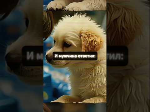 Притча Хромой Щенок!