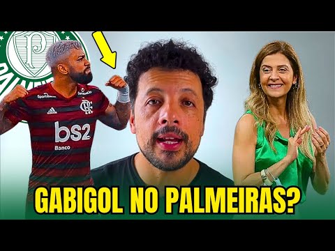 EXCLUSIVO?ANDRÉ HERNAN TRAZ ATUALIZAÇÕES SOBRE GABIGOL, PODE PARAR NO PALMEIRAS?