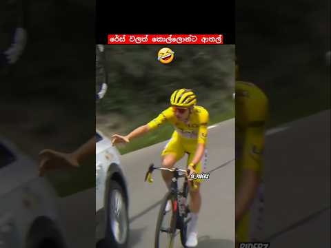 තේරුනාද මොකක්ද කරේ කියලා 🤣 #slriderz #cyclerace #funny