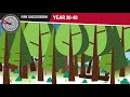 Exploring the Role of Fire in Forest Ecosystems