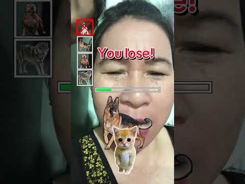 Cứu mèo con với #games #dog #cat