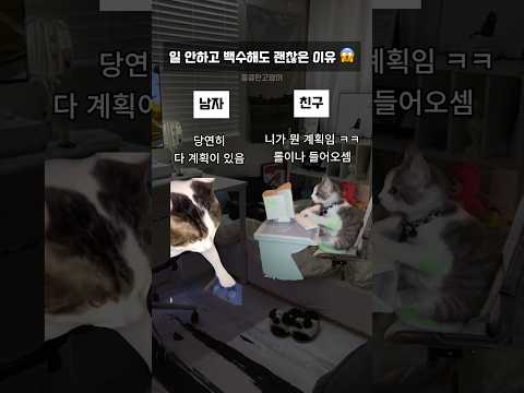 일 안하고 백수여도 괜찮은 이유 #고양이밈