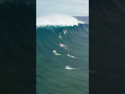Jaws was hungry ๐ฅ:tuckerwooding