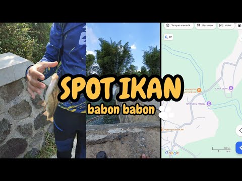 cari spot mancing via google maps dapat ikan babon ‼️ fishingvideo