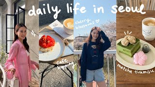 seoul vlog 🌸 cherry blossoms, cafe hopping, coldplay concert, new hair