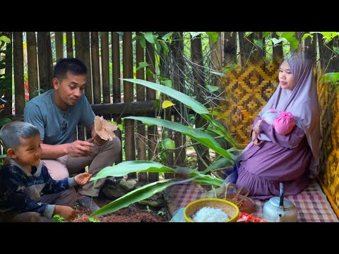 Bersih-bersih rumput malah dapat jamur liar | rezeki busui 😁