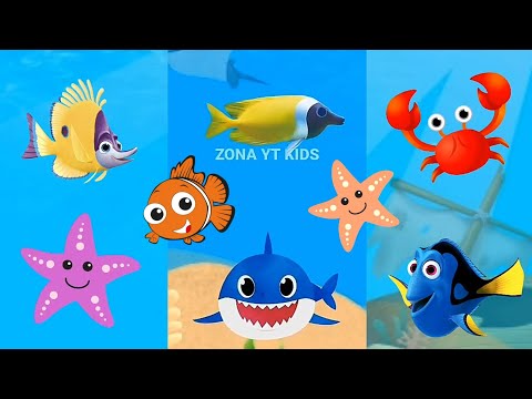 Baby Shark colors fish with Dolphin octopus Animals Sea | Baby Shark Dance Song Nursery rhymes video