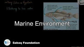 Marine Environment