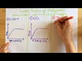 Photosynthesis Concepts and Processes