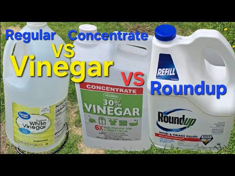 Weeds And Grass Killing Power Testing