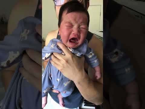 Sigma Sigma Boy but it's my Baby's Cry