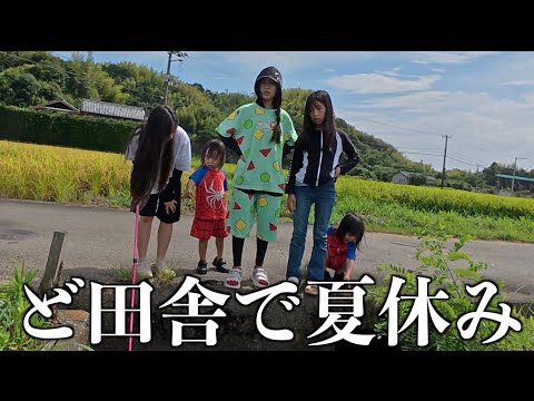 【森ケの日常】ど田舎でカニやメダカを取りに行く森ケの夏休み