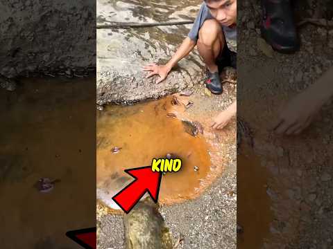 This Man Finds Gold😱#shorts