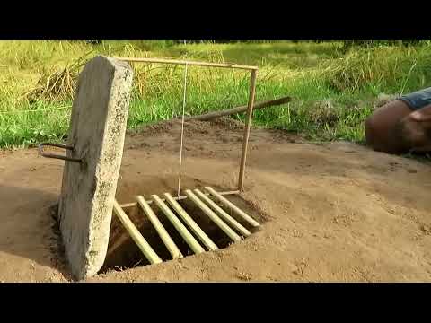 Easy Bird Trap - Simple DIY Creative Bird Trap make from Dead fall Trap Made That Work 100% By Men