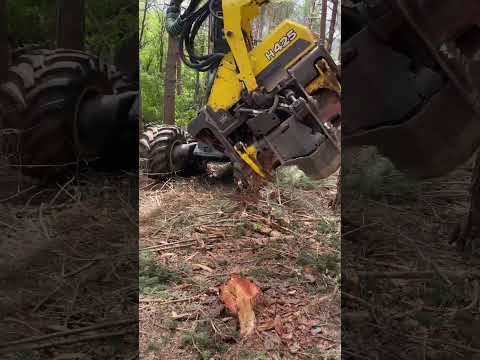 Trabajo con procesadora johndeere1270g #machine #woodworking #forest #johndeere #viral  #harvester