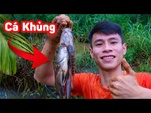 Go Stream Fishing In The Rainy Season, Make Crispy Fried Perch For A Delicious Dinner #fishing #fish