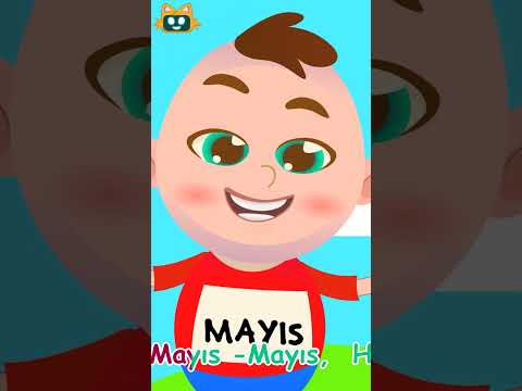 Aylar Şarkısı #shorts #çocukşarkıları #bebekşarkıları | Miniyo Çocuk Şarkıları