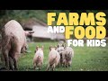 Understanding the Food Supply Chain