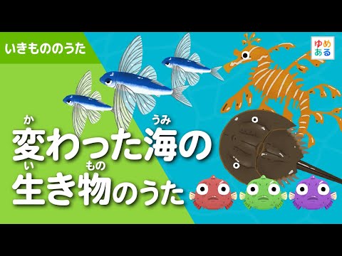 変わった海の生き物のうた🌊🐡