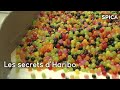 Secrets de fabrication et innovations Haribo