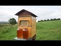 Innovative Honey Harvesting Techniques