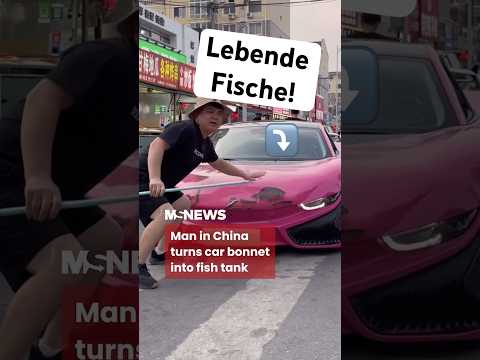 Aquarium auf Auto mit lebenden Fischen! 😤