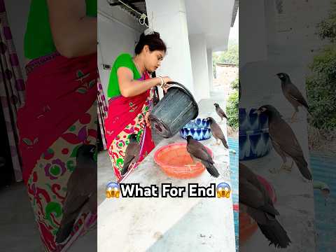 আমি মিঠুকে ধরে স্নান করালাম কেন 🤔 #mithu #pujamondal #shortsviral #viralshort #shorts #viralshorts
