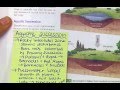 Aquatic and Terrestrial Succession Concepts