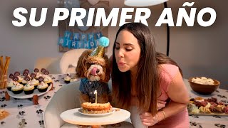 Un año después… y no estoy preparada para esto 😭❤️ │ What The Chic