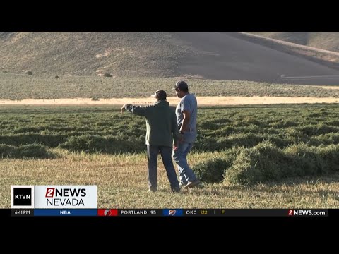 YouTube video thumbnail: Nevada Backroads: Bringing in the Hay