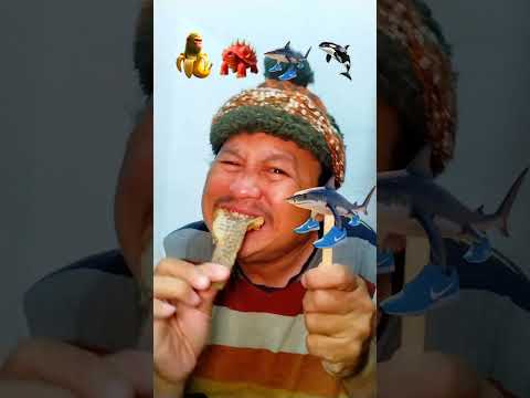 menurut kalian lagu Anomali versi Arab ini bagus ga #shorts