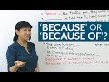 Understanding 'Because' and 'Because Of'