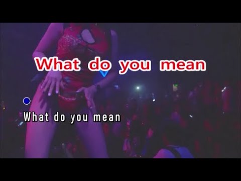 What Do You Mean （Vietnamese DJBenReBeeRmx） KTV 導唱字幕 （備有伴奏視頻）