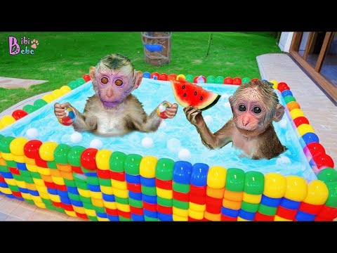 KiKi Monkey built a Waterpark with Swimming Pool & Colorful Waterslide with puppy