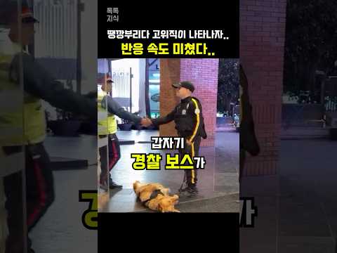 땡깡부리는 경찰견에게 갑자기 경찰 보스가 다가오자…