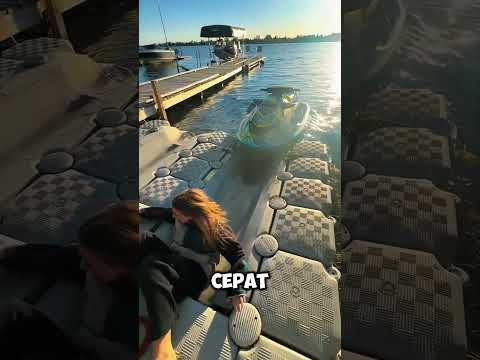 Kesalahan Fatal Mendorong Jet Sky 😮