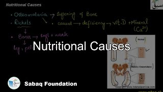 Nutritional Causes