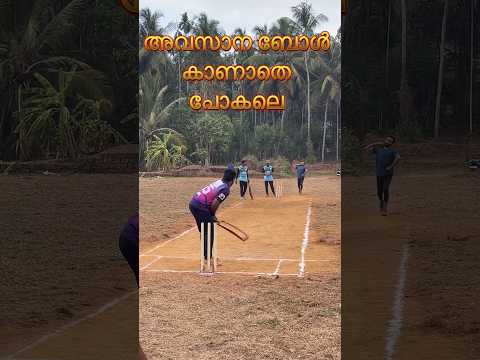 ഇതാണ് നമ്മൾ തിരഞ്ഞിരുന്ന നന്മമരം