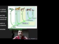 Cladistics and Evolutionary Relationships