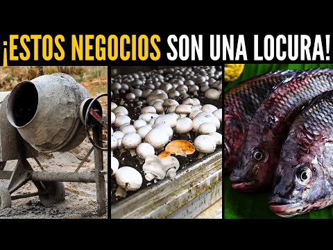 TOP NEGOCIOS que están CREANDO MILLONARIOS y POCOS lo Saben |  Recopilación