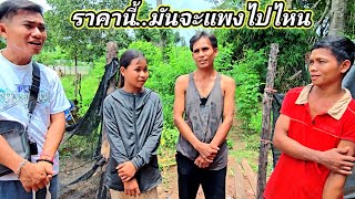 เจ้าของที่ดินมาแล้ว..แทบตกใจราคาที่ดินน้องออย..??