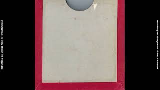 Hessischer Rundfunk - Sendebeitrag ''Das Mausohr''