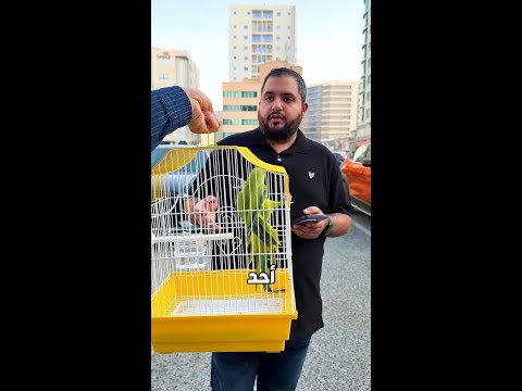 السحب تاريخ ١ اغسطس ٢٠٢٥ لحقووووا 🏃🏻