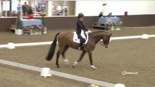 Heidi Fellows on Prototype, 2015 FEI International Dressage Competition, Addington Manor