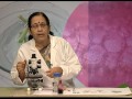 Plant Tissue Identification and Functions